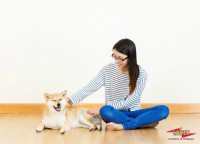 /album/fotogaleria-caninos-y-felinos/salud-animal1-jpg/